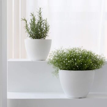 Pack Of Two Modern Planters Pots With Drainage Holes, 6 of 12