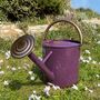 Perfectly Purple With Copper Trim Watering Can Duo, thumbnail 7 of 9