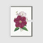 Art Greeting Card Clematis Mamorata, thumbnail 1 of 3