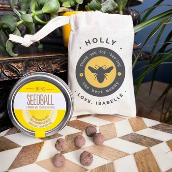 Bee Friendly Seedballs In A Pouch, 4 of 7