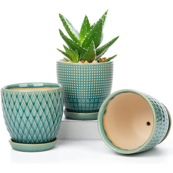 Set Of Three Ceramic Planters With Saucer Tray, 3 of 6