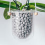 Orla, Hanging Glass Planter, Ideal For Orchids, thumbnail 4 of 12