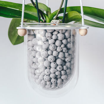 Orla, Hanging Glass Planter, Ideal For Orchids, 4 of 12