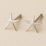 Large Sterling Silver Starfish Stud Earrings, thumbnail 1 of 6
