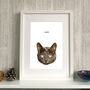 Personalised Cat Portrait Colour Illustration, thumbnail 6 of 6