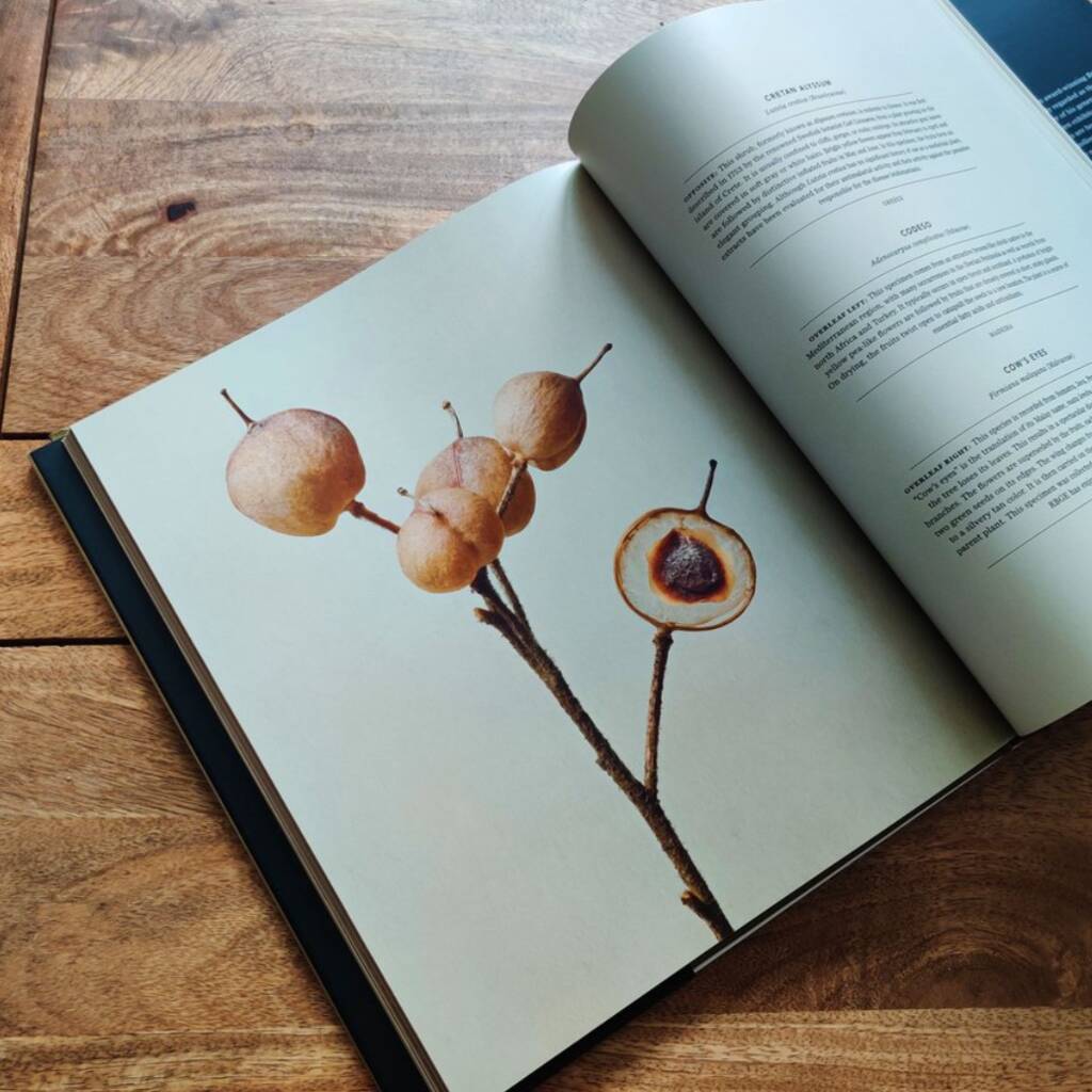 Luxury Book Of The Hidden Beauty Of Seeds And Fruits, 1 of 5