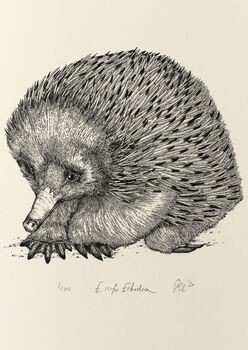 E Is For Echidna Illustration Print, 4 of 6