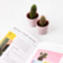 Hi Cacti: Growing Houseplants And Happiness Book, thumbnail 8 of 12