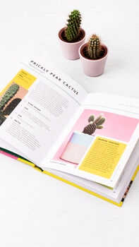 Hi Cacti: Growing Houseplants And Happiness Book, 8 of 12