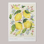 Citrus Limon Art Print, thumbnail 2 of 5