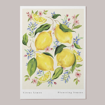 Citrus Limon Art Print, 2 of 5