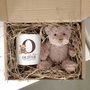 New Baby Teddy Bear Gift Hamper Money Box, thumbnail 1 of 6