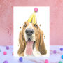 Basset Hound Pompom Birthday Card, thumbnail 1 of 3