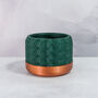 Forest Hexa Planter, thumbnail 3 of 4