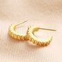 Gold Stainless Steel Ridged Huggie Hoop Earrings, thumbnail 1 of 4
