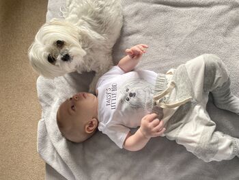 Best Friend Forever Personalised Dog Babygrow, 2 of 12