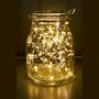 Indoor / Outdoor Cluster Fairy Lights String, thumbnail 6 of 8