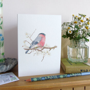 Bullfinch And Blossom Greetings Card, 8 of 10