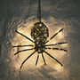 Light Up LED Black Rattan Spider Halloween Decoration, thumbnail 6 of 6