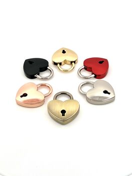 Engraved Pet Name Heart Padlock Dog Tag, 6 of 8