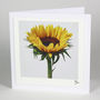 You Are My Sunshine Card, thumbnail 1 of 3