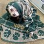 Personalised Jumbo Dog Towel, thumbnail 3 of 4