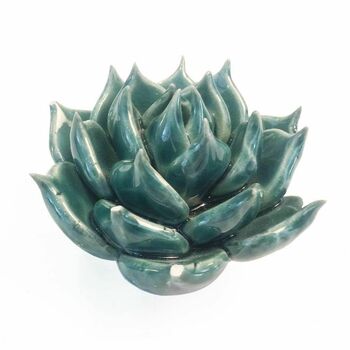 Ceramic Cactus Decorate Your Table, Wall, Terrarium, 4 of 11