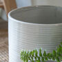 Pale Grey Ribbed Ceramic Plant Pot, thumbnail 4 of 4