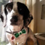 St Patricks Day Pet Bow Tie, Three Sizes, thumbnail 1 of 4