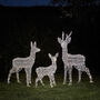 Swinsty Dual LED Battery Outdoor Reindeer Family, thumbnail 4 of 4