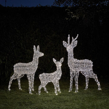 Swinsty Dual LED Battery Outdoor Reindeer Family, 4 of 4