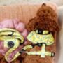 Zesty Butter Meadows Floral Dog Collar, thumbnail 3 of 6