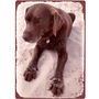 Personalised Pet Photo Quality Vintage Metal Sign, thumbnail 2 of 7