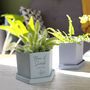 Personalised Anniversary Hexagon Plant Pot For Couples, thumbnail 3 of 9