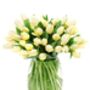 Fresh Cream Tulips Bouquet, thumbnail 2 of 3