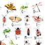 Insect Alphabet Art Print, thumbnail 6 of 7