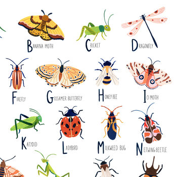 Insect Alphabet Art Print, 6 of 7