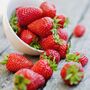 Fruit Plants In Two Litre Pots, thumbnail 2 of 5