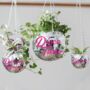 Personalised Disco Ball Hanging Planter, thumbnail 1 of 10