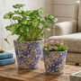 Set Of Two Floral Blue Grecian Planters, thumbnail 1 of 4