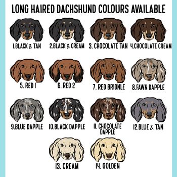 Long Haired Dachshund Adult T Shirt, 4 of 6