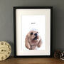 Personalised Pet Portrait Colour Illustration, thumbnail 3 of 12