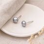 Sterling Silver Grey Freshwater Pearl Stud Earrings – 5mm, thumbnail 1 of 7