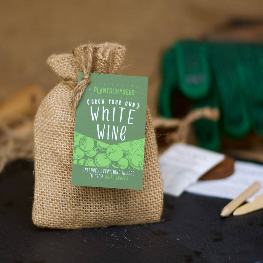 Grow Your Own Giant Sunflower Mini Plant Kit By Plants From Seed