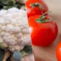 Grow Your Own Six Month Vegetable Seed Subscription, thumbnail 3 of 9