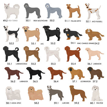 Personalised Birthday Dog Breed Card Sent Direct, 9 of 12
