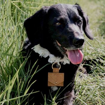 Suede Dog Ring Bearer Pouch, 4 of 6