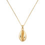 Dainty 14 K Gold Cowrie Shell Clam Necklace, thumbnail 2 of 7
