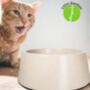 Bamboo Eco Friendly Pet Bowl For Dogs And Cats, thumbnail 2 of 10
