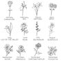 Personalised Birth Flower Wooden Scallop Edge Mirror, thumbnail 3 of 5